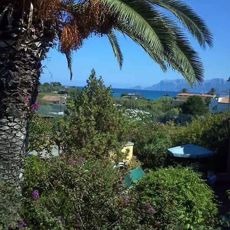 Abbaruja 奧爾比亞