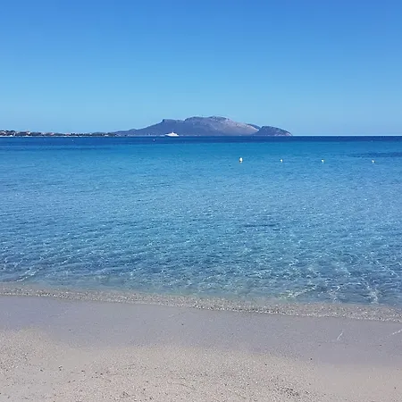 Abbaruja Olbia