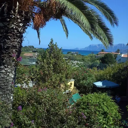Abbaruja Olbia